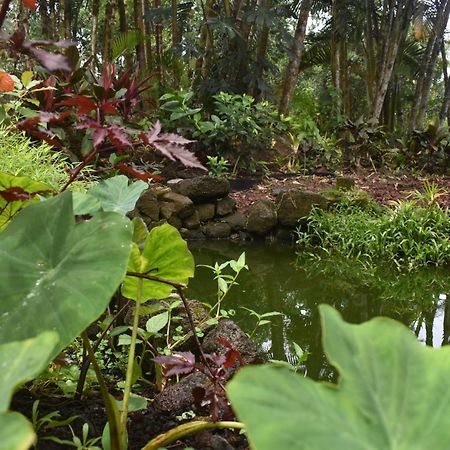 The Red Cottage And Hawaiian Pond Garden Paradise! Keaau Exterior photo