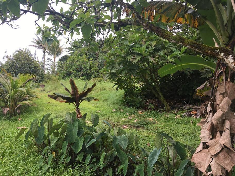 The Red Cottage And Hawaiian Pond Garden Paradise! Keaau Exterior photo