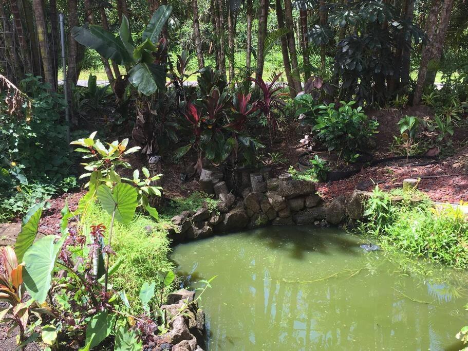 The Red Cottage And Hawaiian Pond Garden Paradise! Keaau Exterior photo